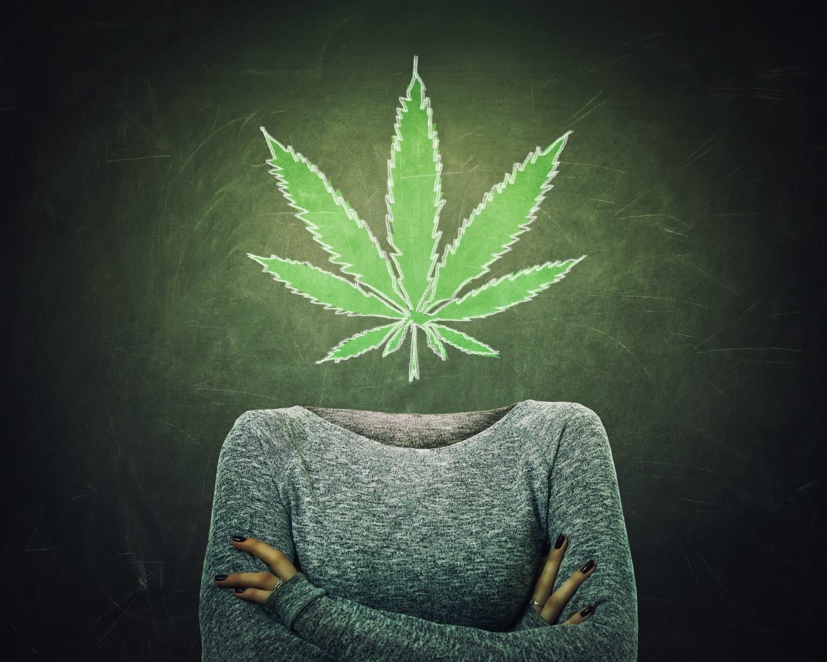 The Wisconsin Cannabis Activist Network