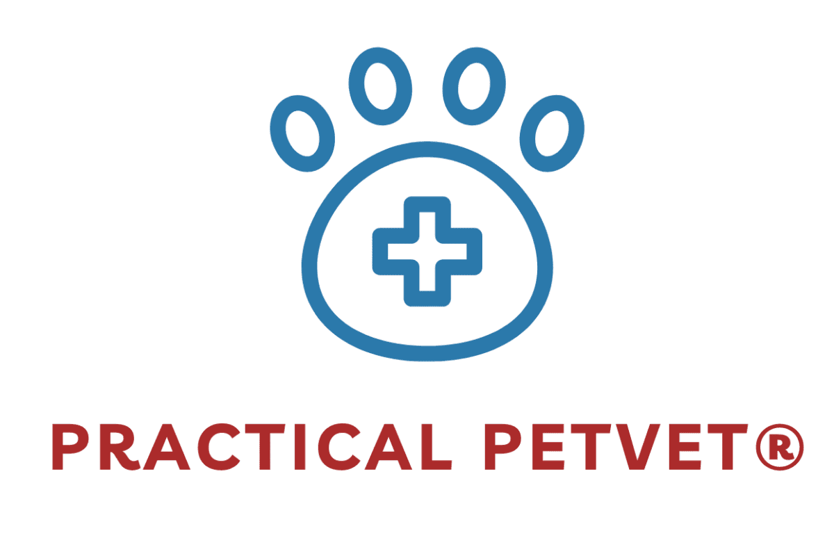 Practical PetVet® – Stories about pets and the people who love them, written by a Veterinarian
